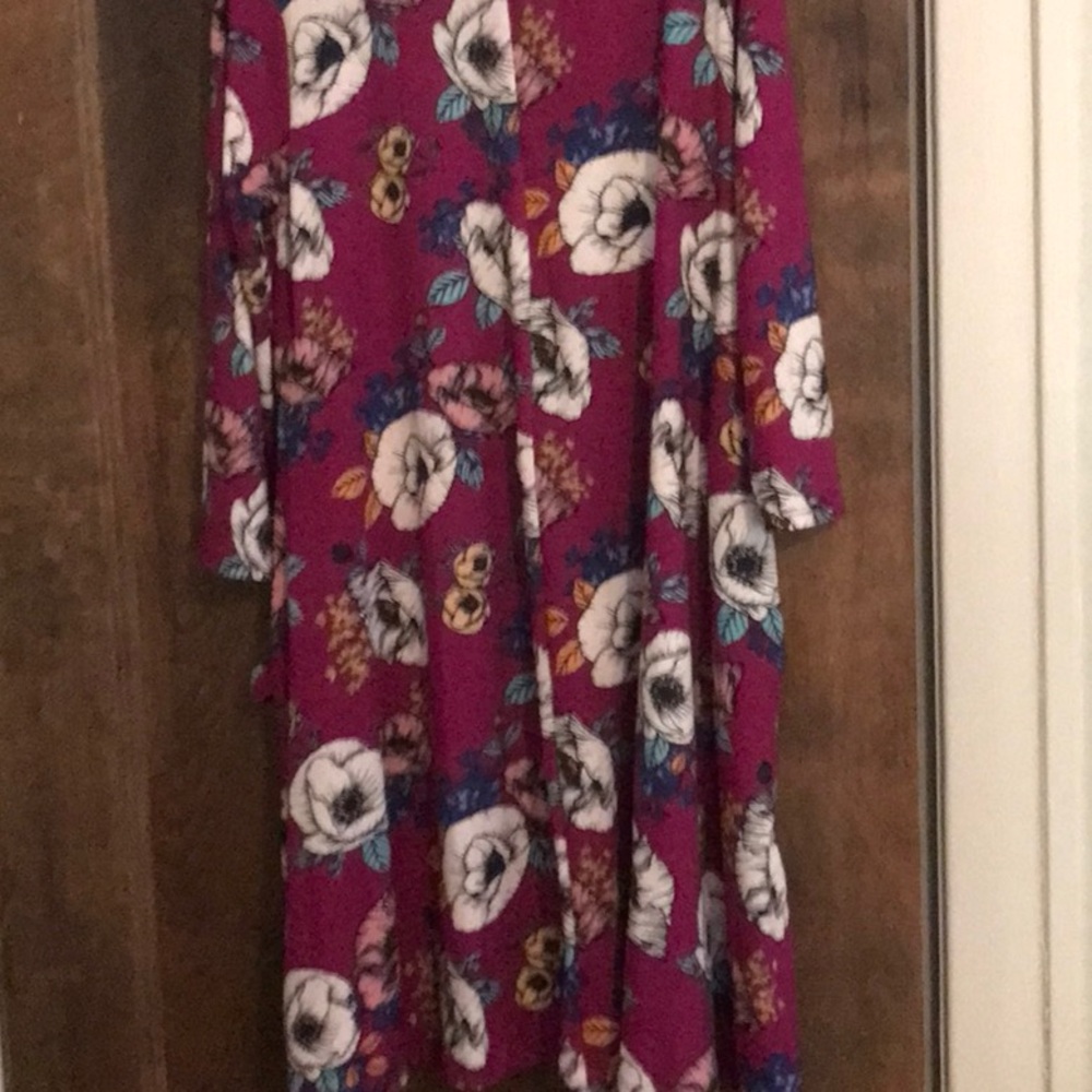 Honey and Lace dark pink flowered dress medium